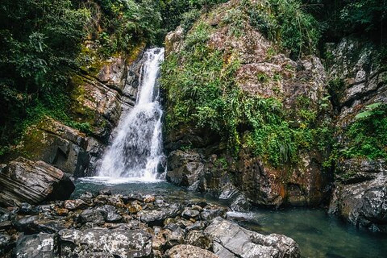 Tour privato alla cascata a Porto Rico