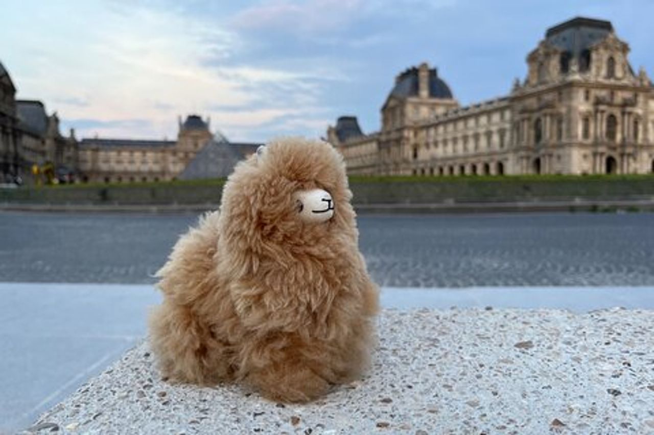 Tour guidato privato di un'intera giornata a Parigi e Versailles