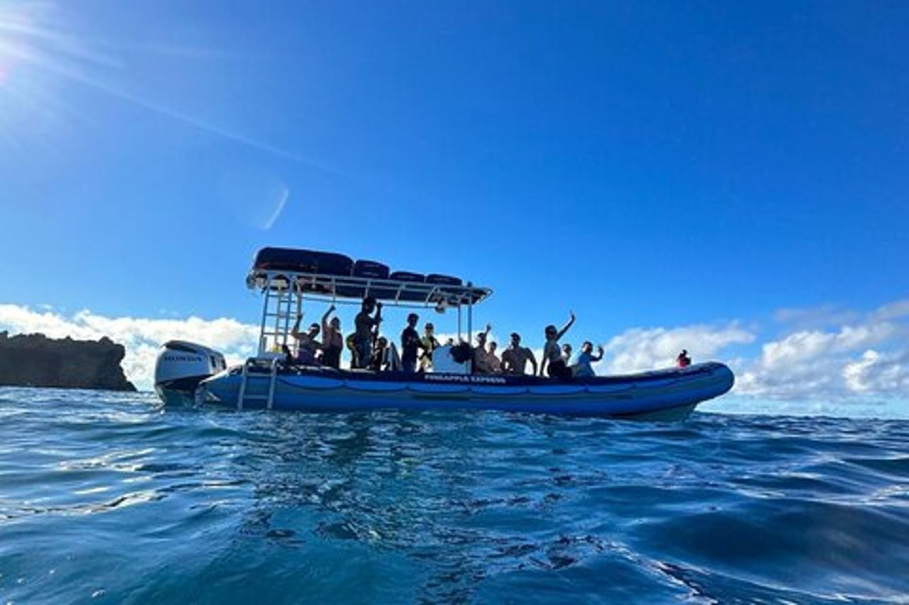 Il miglior snorkeling Molokini Express di 2 ore