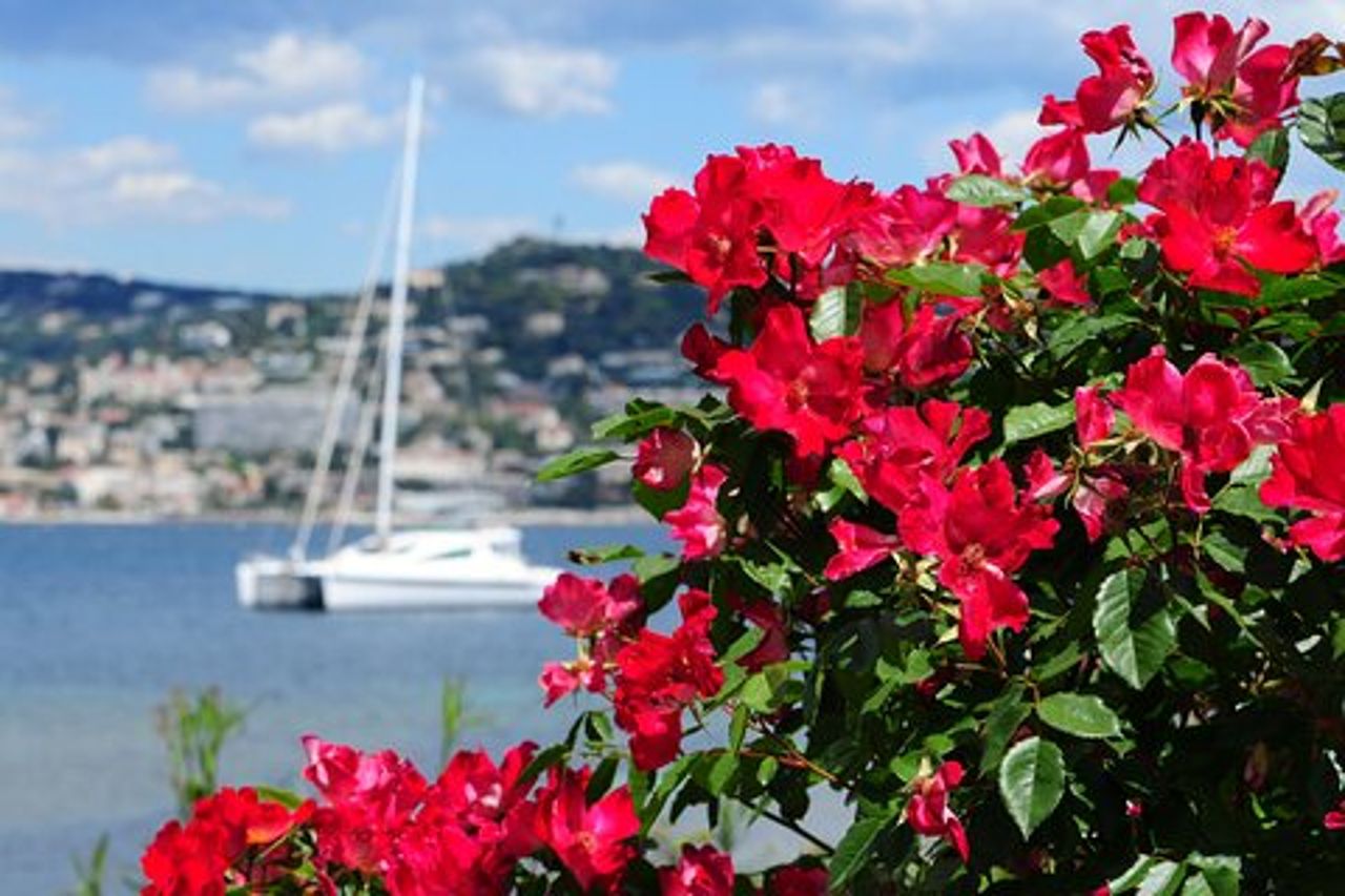 Escursione a terra a Grasse, Antibes, St Paul de Vence da Cannes
