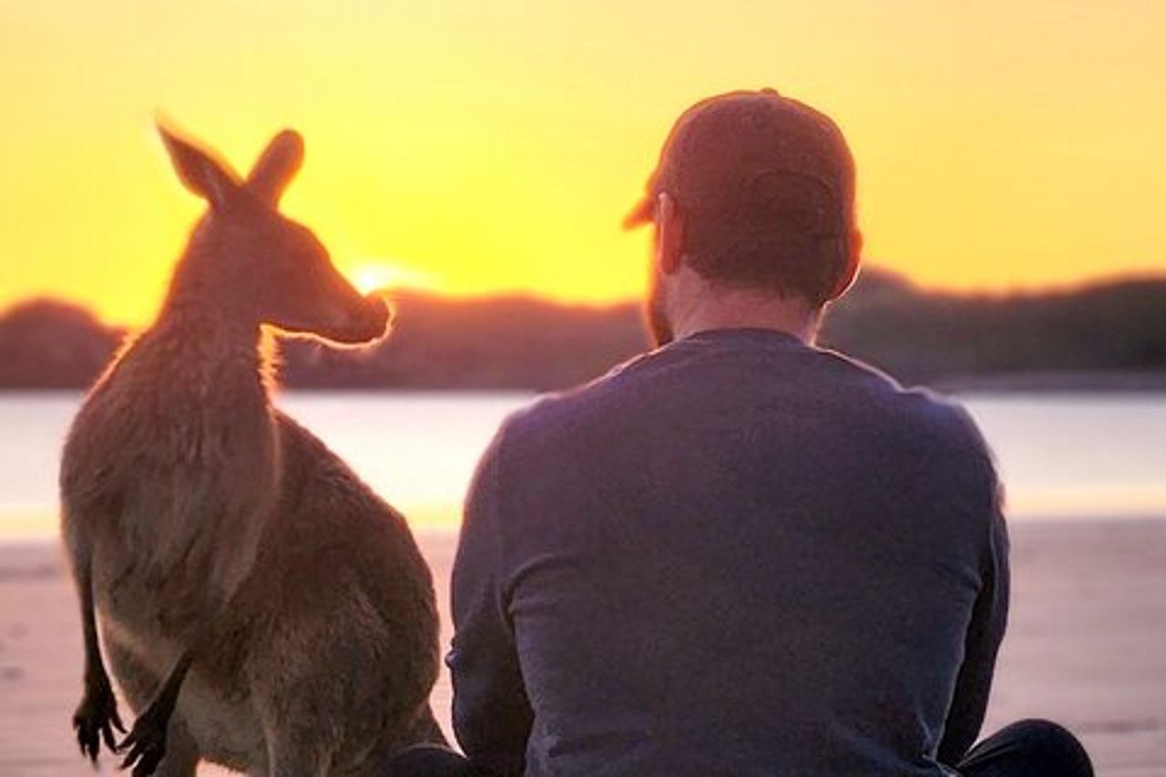 Alba con i canguri e i wallaby