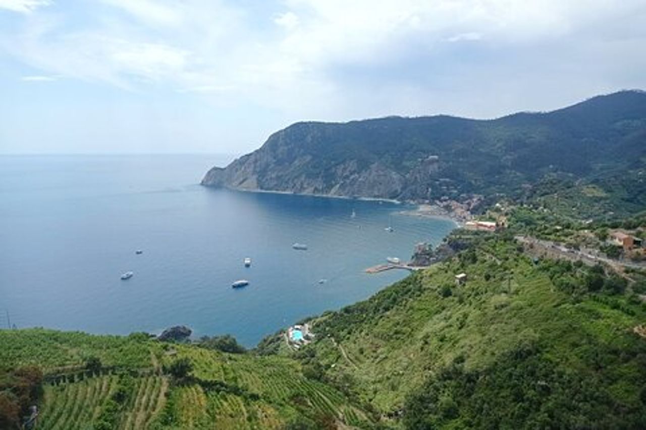 Tour privato delle Cinque Terre accessibile e senza problemi da Livorno