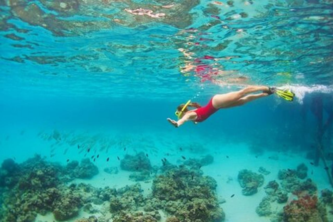 Baia di Nha Trang: esplora lo snorkeling di mezza giornata a Coral Reef