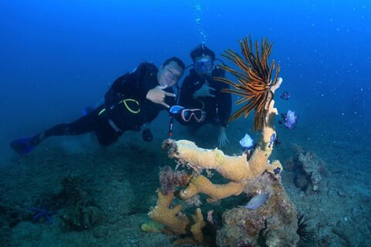 Esperienza di immersioni subacquee nella baia di Nha Trang