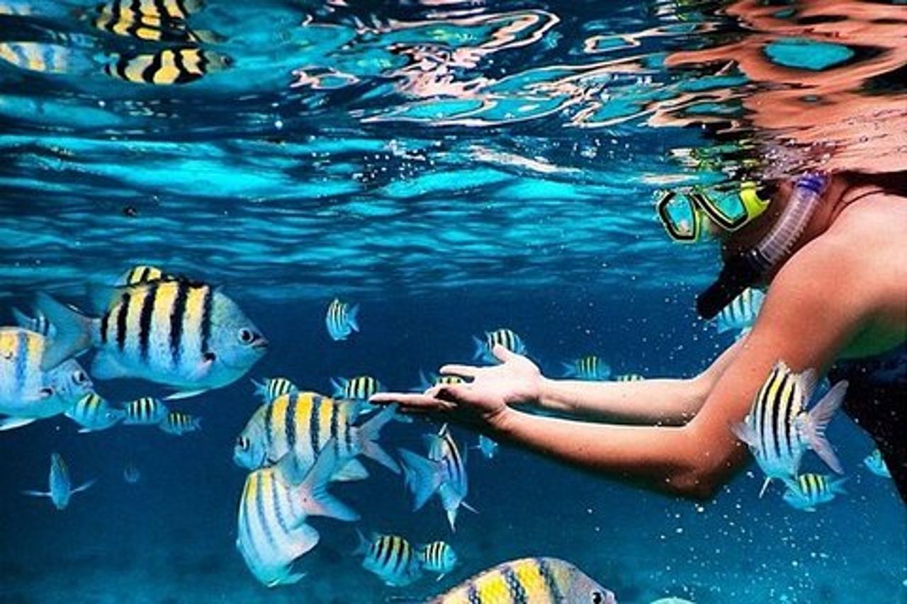 Divertimento in famiglia con sosta pranzo da Montego Bay