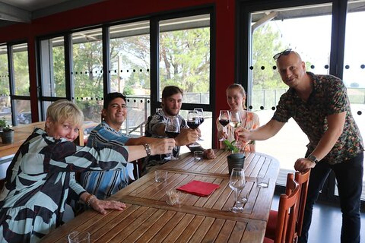 Bordeaux: degustazione di vini per l'intera giornata e pranzo gourmet