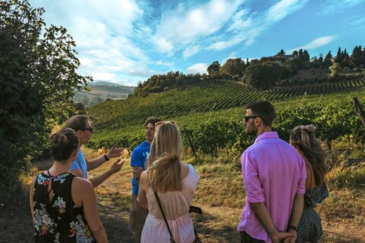 Visita guidata in cantina e degustazione di vini a Siena