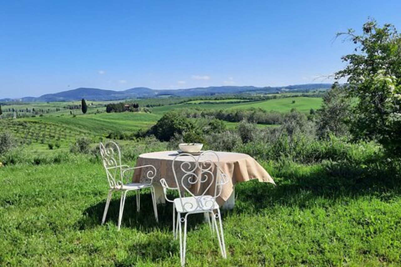 Esperienza dell'olivo Passeggiata tra gli Ulivi con Degustazione