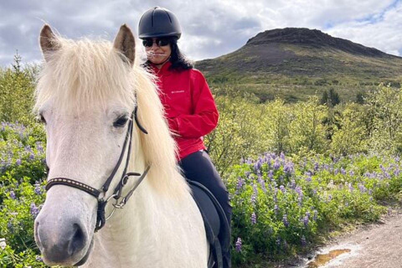 2 ore di equitazione privata al lago Hafravatn, Reykjavík - Mos