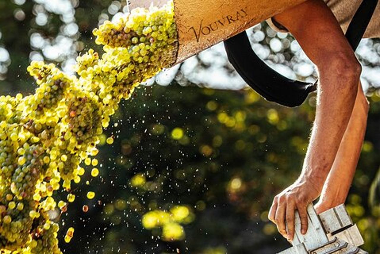 Tour di mezza giornata del vino nella Valle della Loira a Vouvray