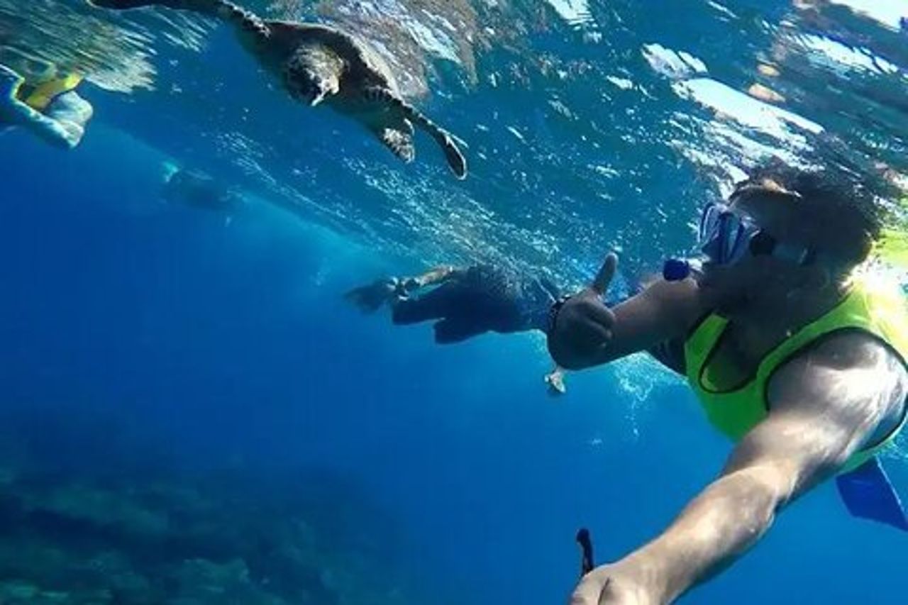 Tour di snorkeling di Isla del Caño da Drake Bay (isola di Cano)
