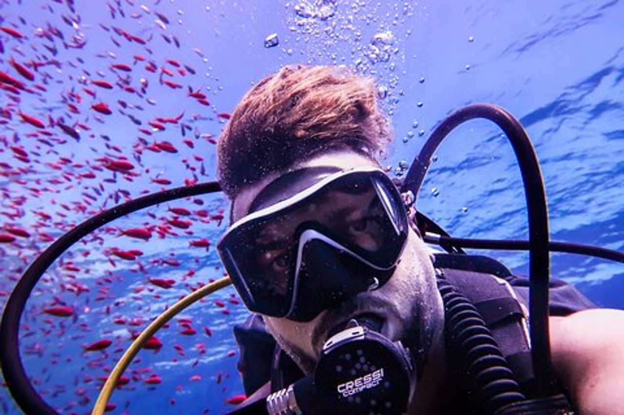 Immergiti ed esplora il Mar Rosso di Aqaba con una guida privata