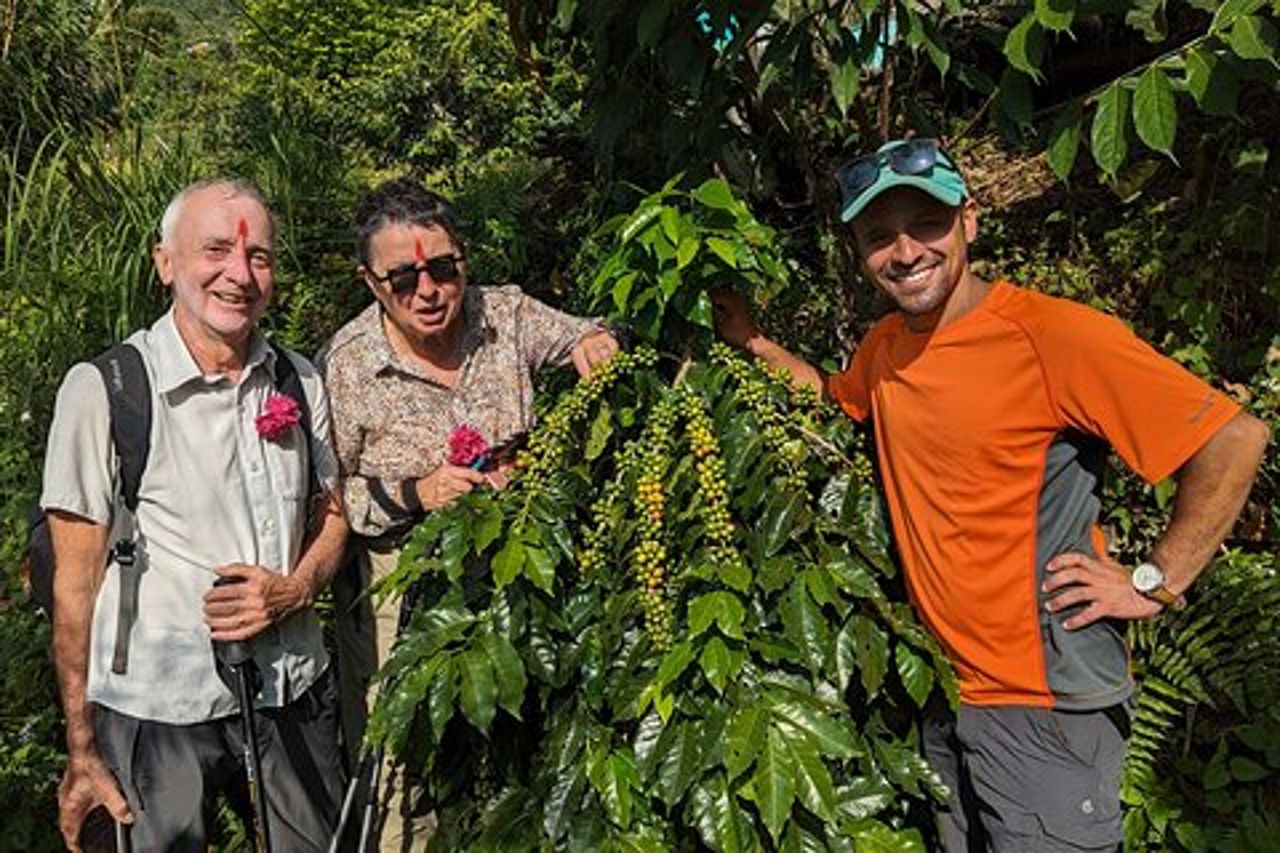 Tour della cultura del caffè del villaggio di Sarangkot e dell'autentica vita locale
