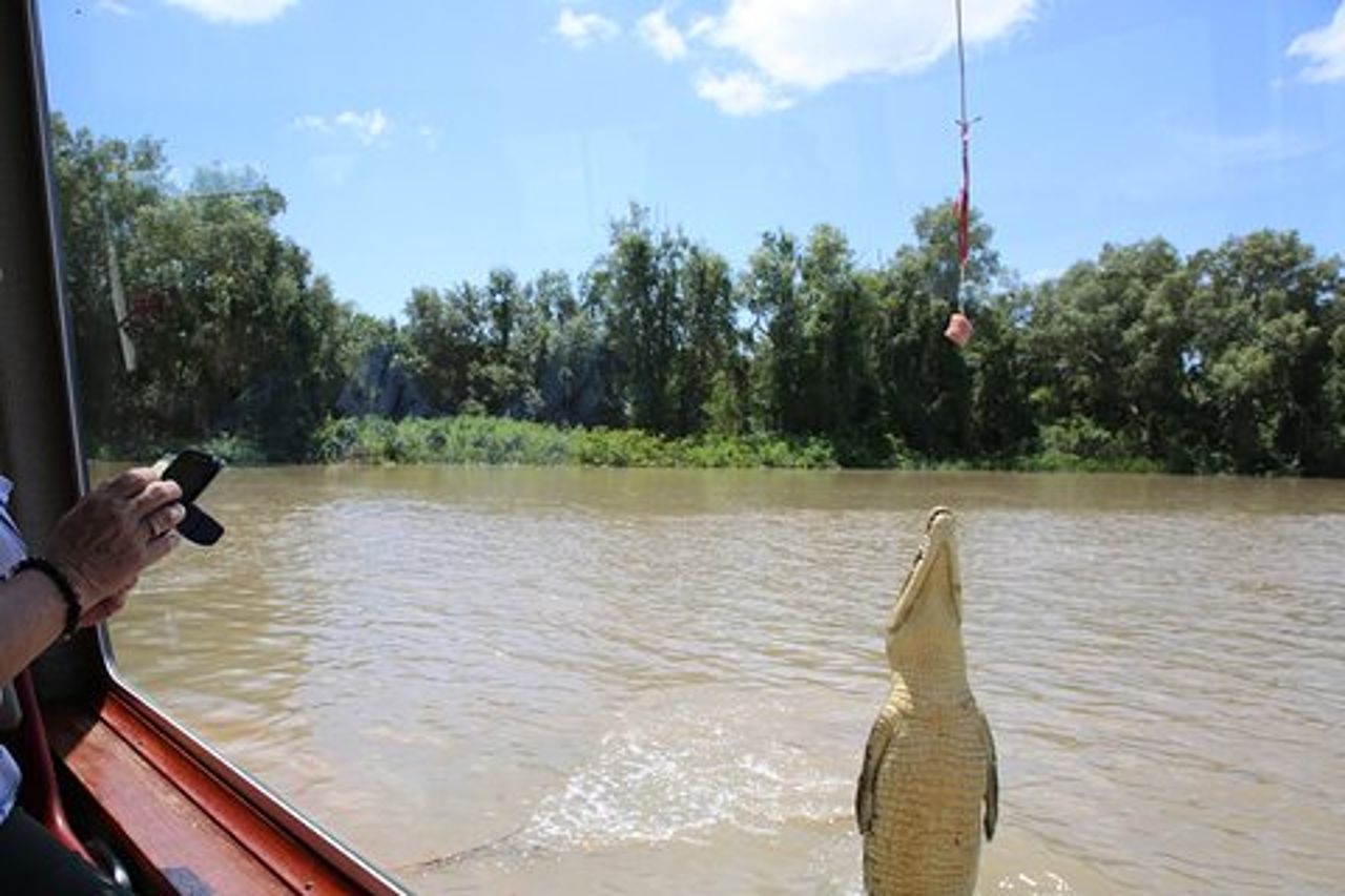 Darwin: crociera originale con avvistamento coccodrilli saltanti Adelaide River Queen