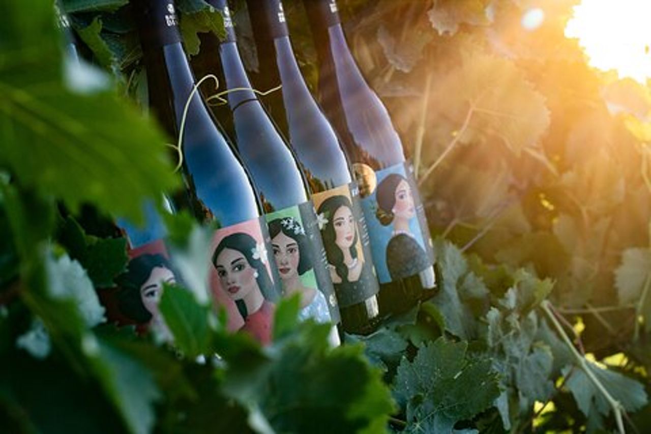 Marsala Degustazione di 5 vini biologici siciliani