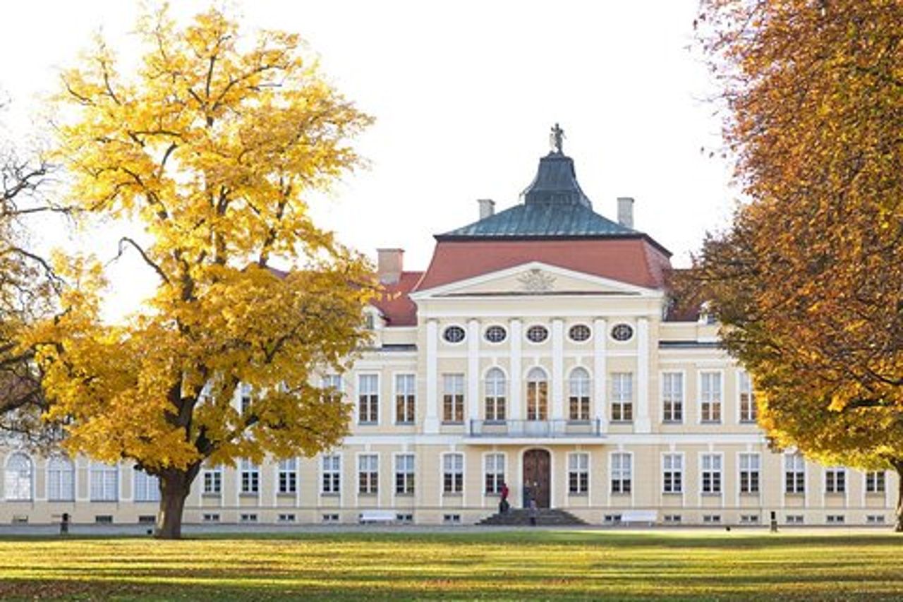 Palazzo, castello e antiche querce - Visita guidata di Rogalin e Kórnik da Poznan