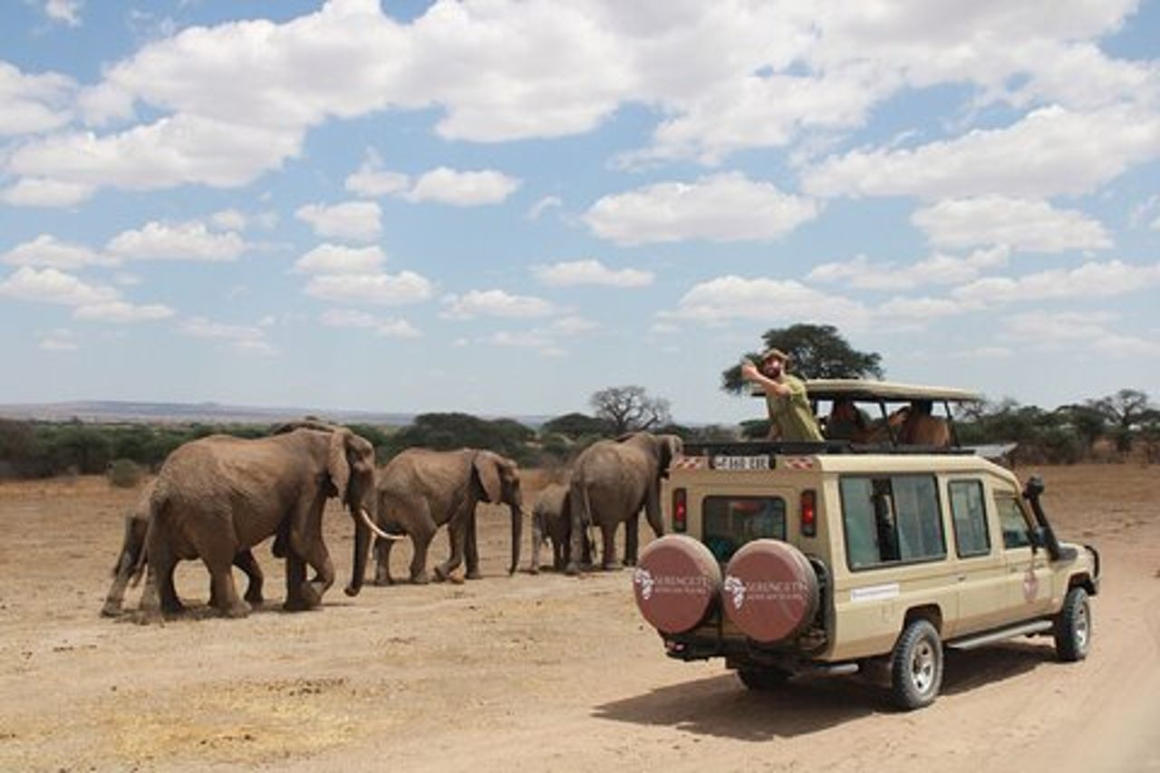 Cratere Tarangire Serengeti Ngorongoro di 4 giorni