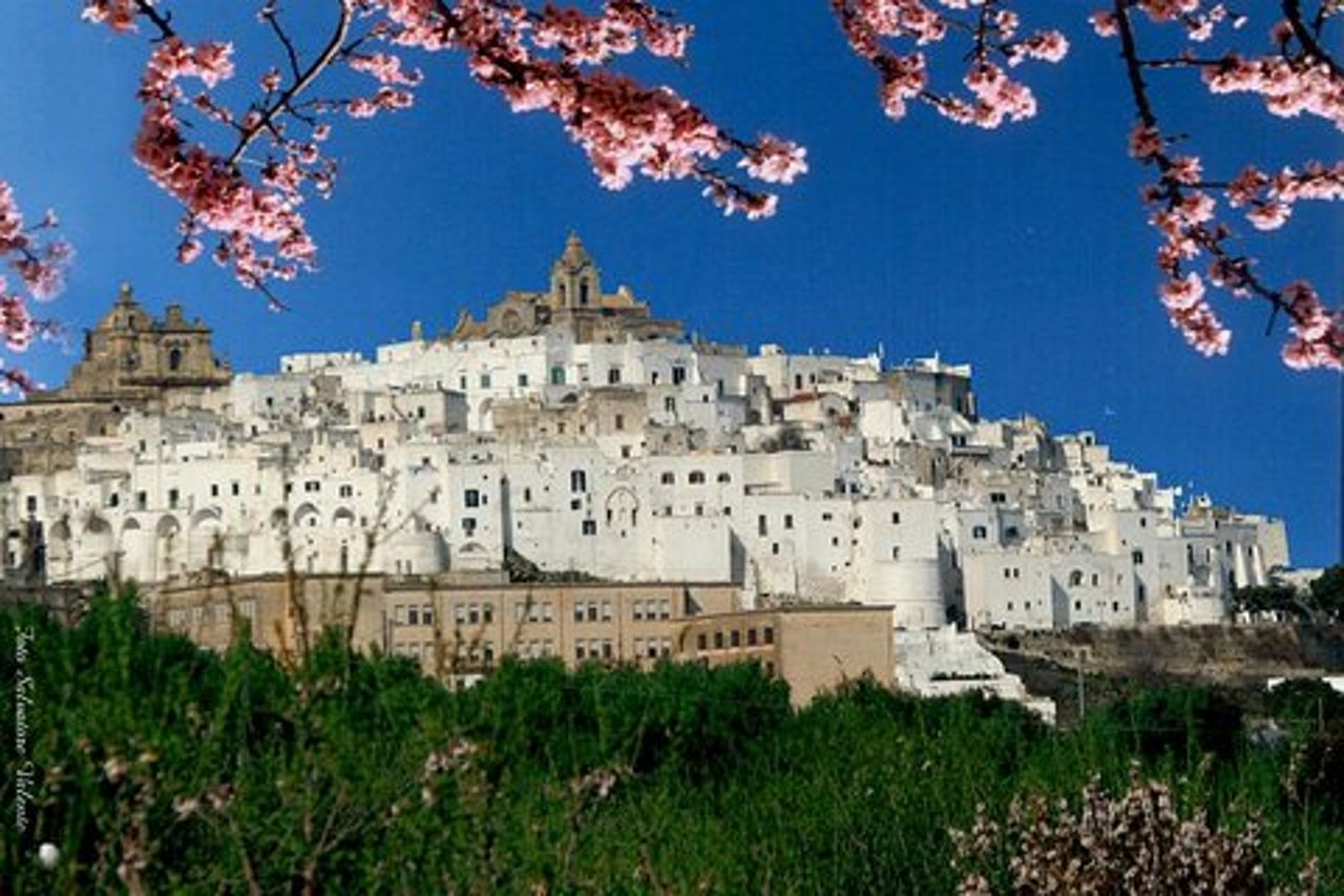 Le gemme bianche della Puglia : Private Alberobello & Martina Franca