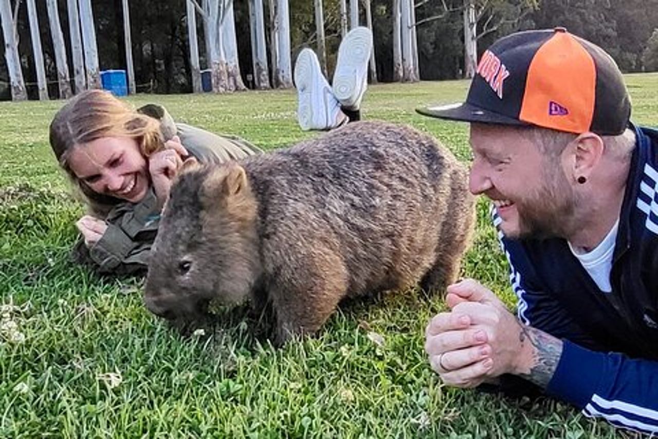 Tour di un giorno di Wombat e canguri, tutto incluso