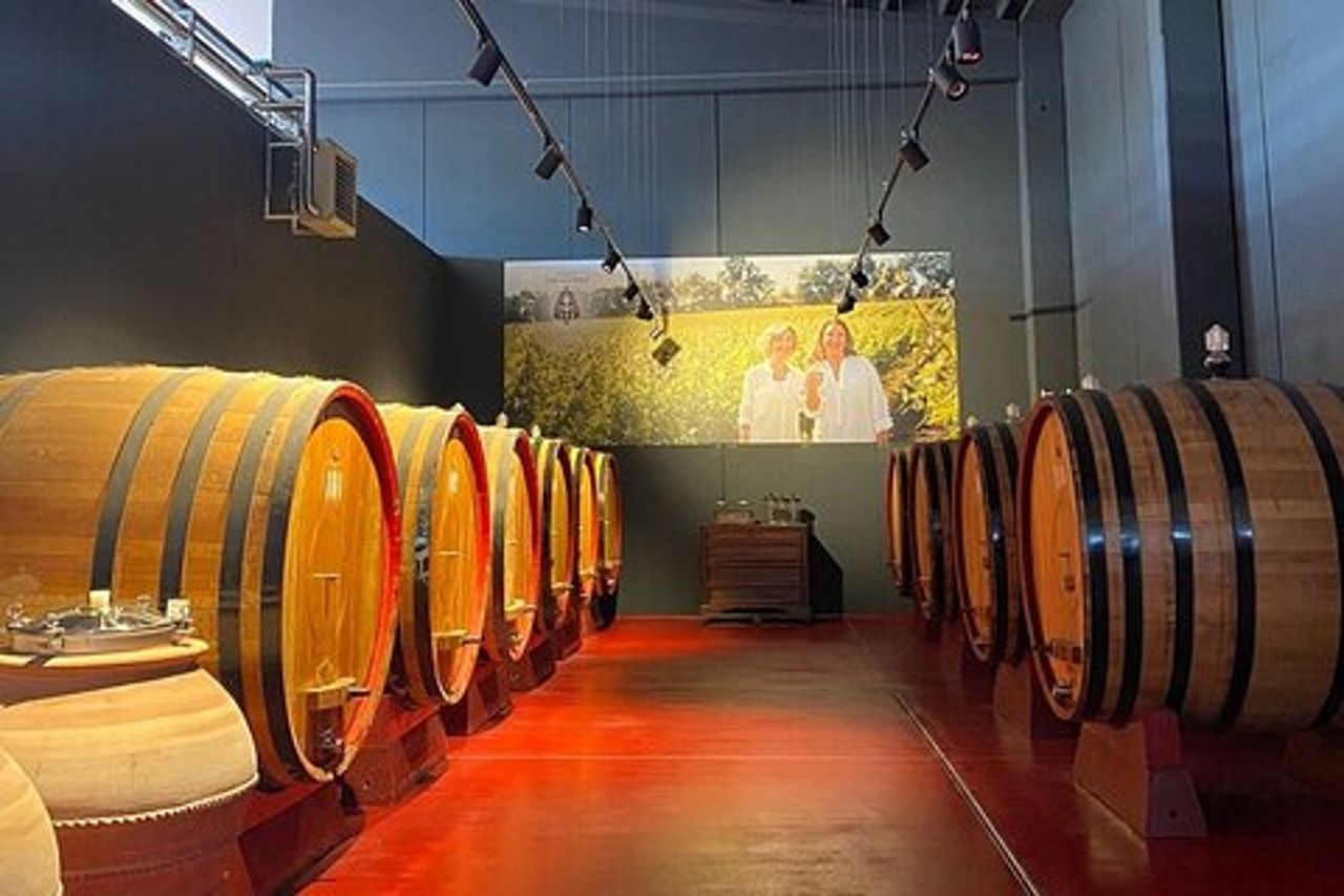Visita e degustazione vini a 30 minuti da Pescara