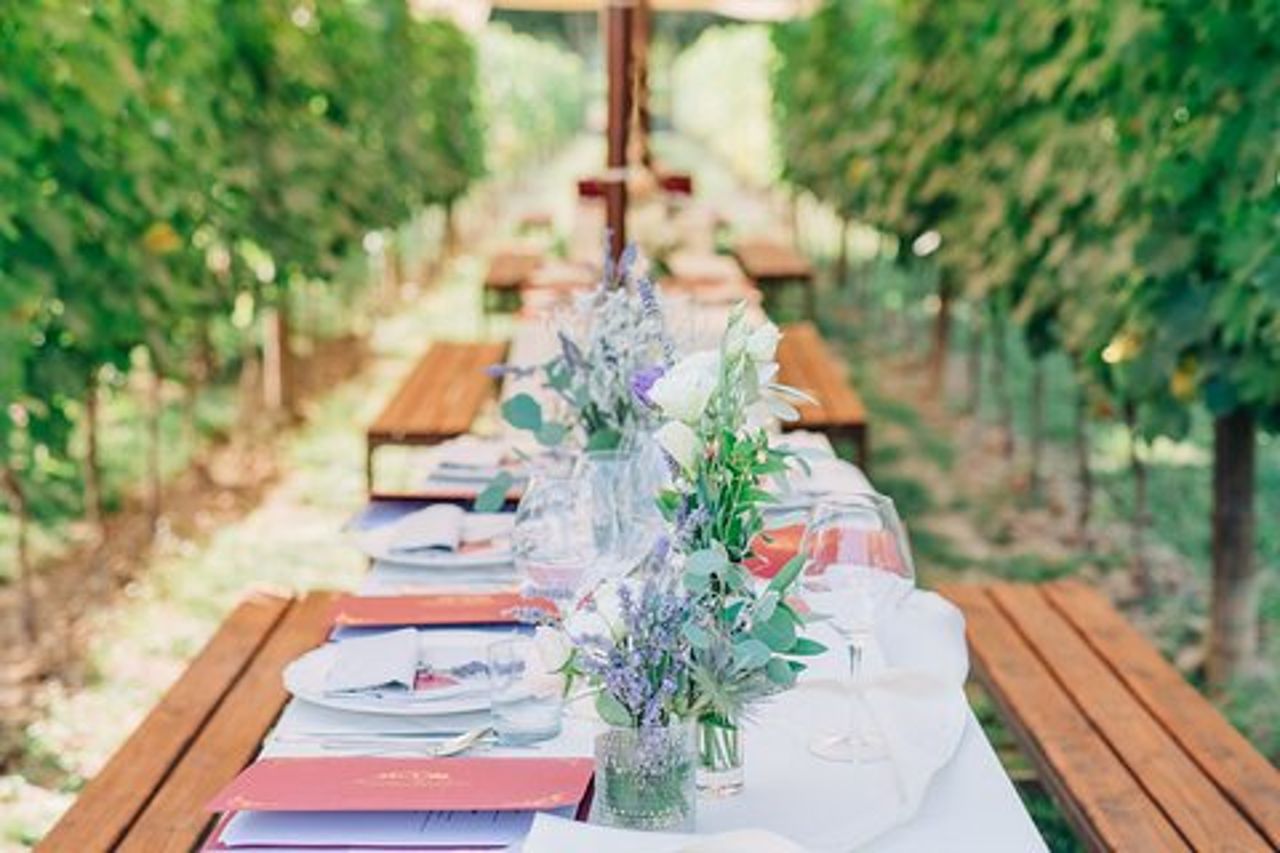 Pranzo romantico nei filari di vite in Toscana