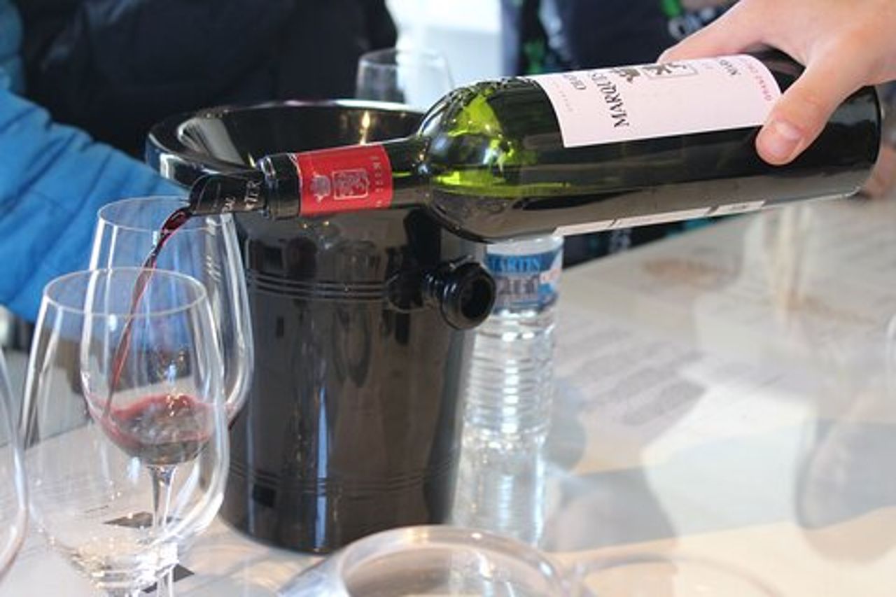Tour privato del vino di mezza giornata Medoc da Bordeaux