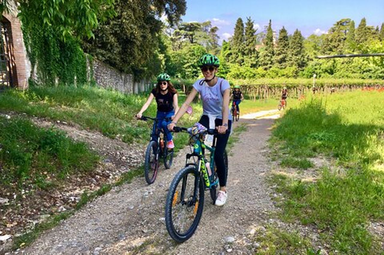 Tour in E-Bike con degustazione vini da Polpenazze sul Lago di Garda