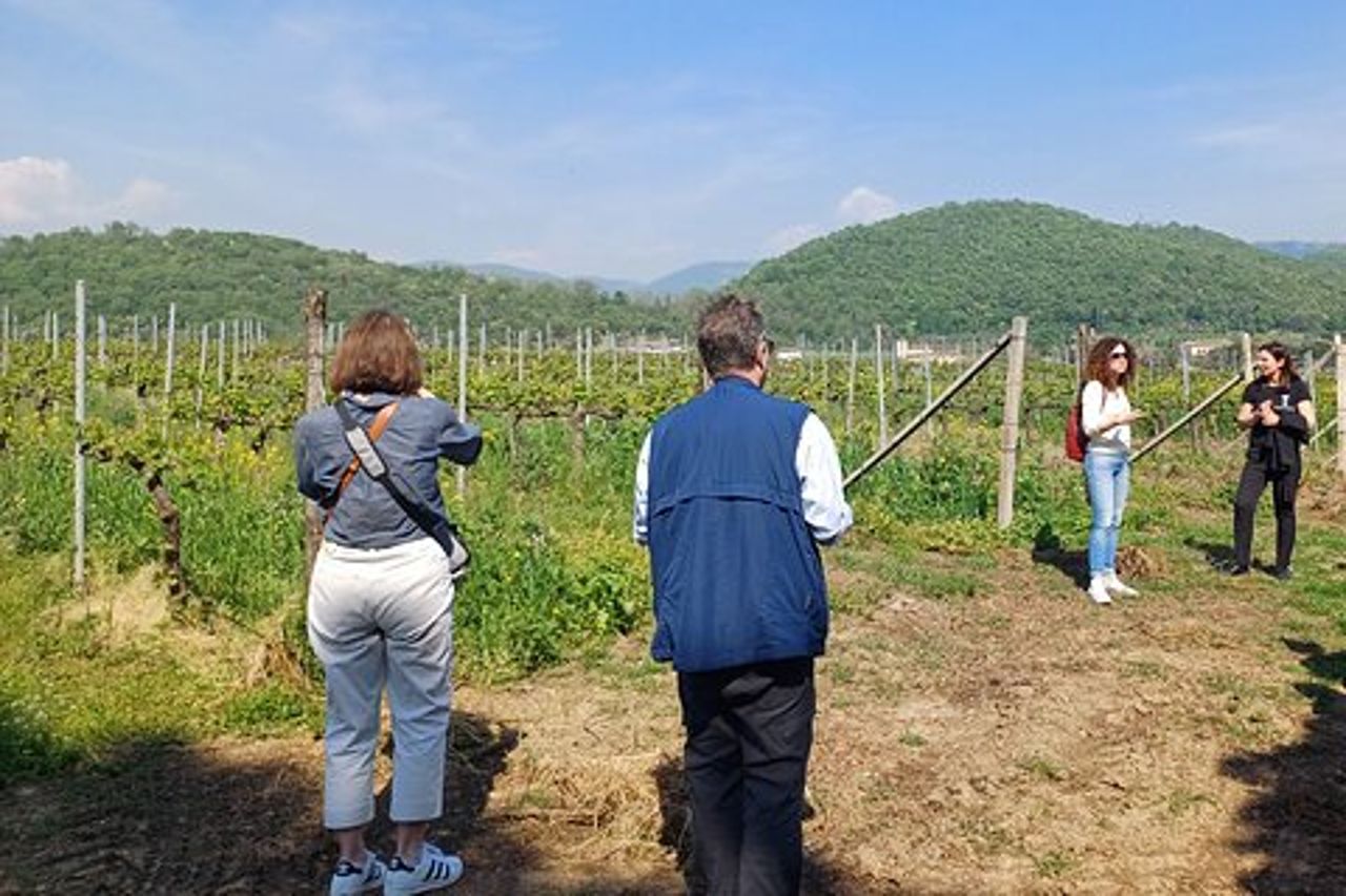 Lago d'Iseo & Cantina Franciacorta. Scenic & Wine Tasting tour