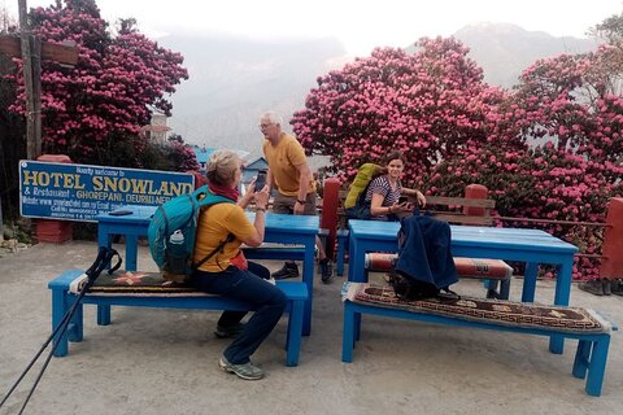 Trekking privato di 4 giorni a Poon Hill da Pokhara