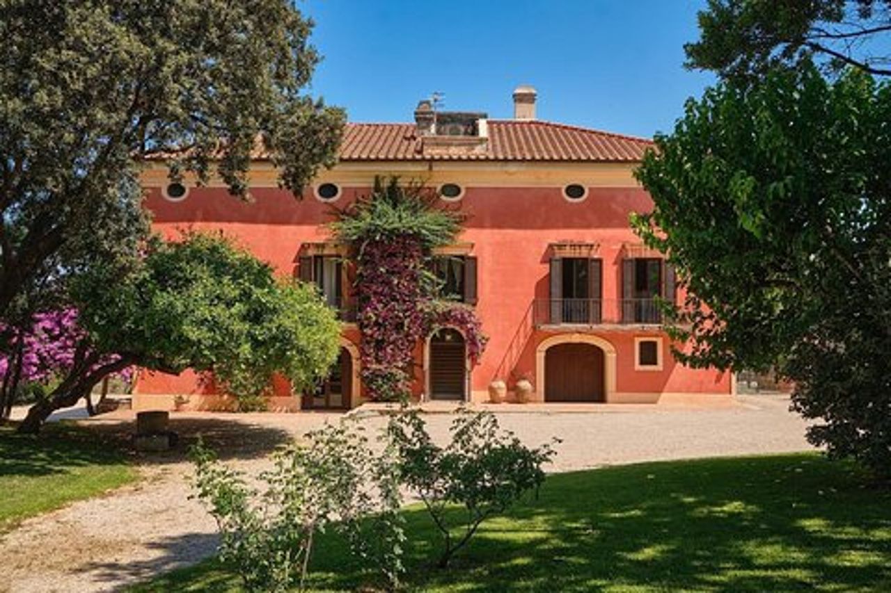Tour Privato: Paestum, Visita guidata Mozzarella Bufala e pranzo