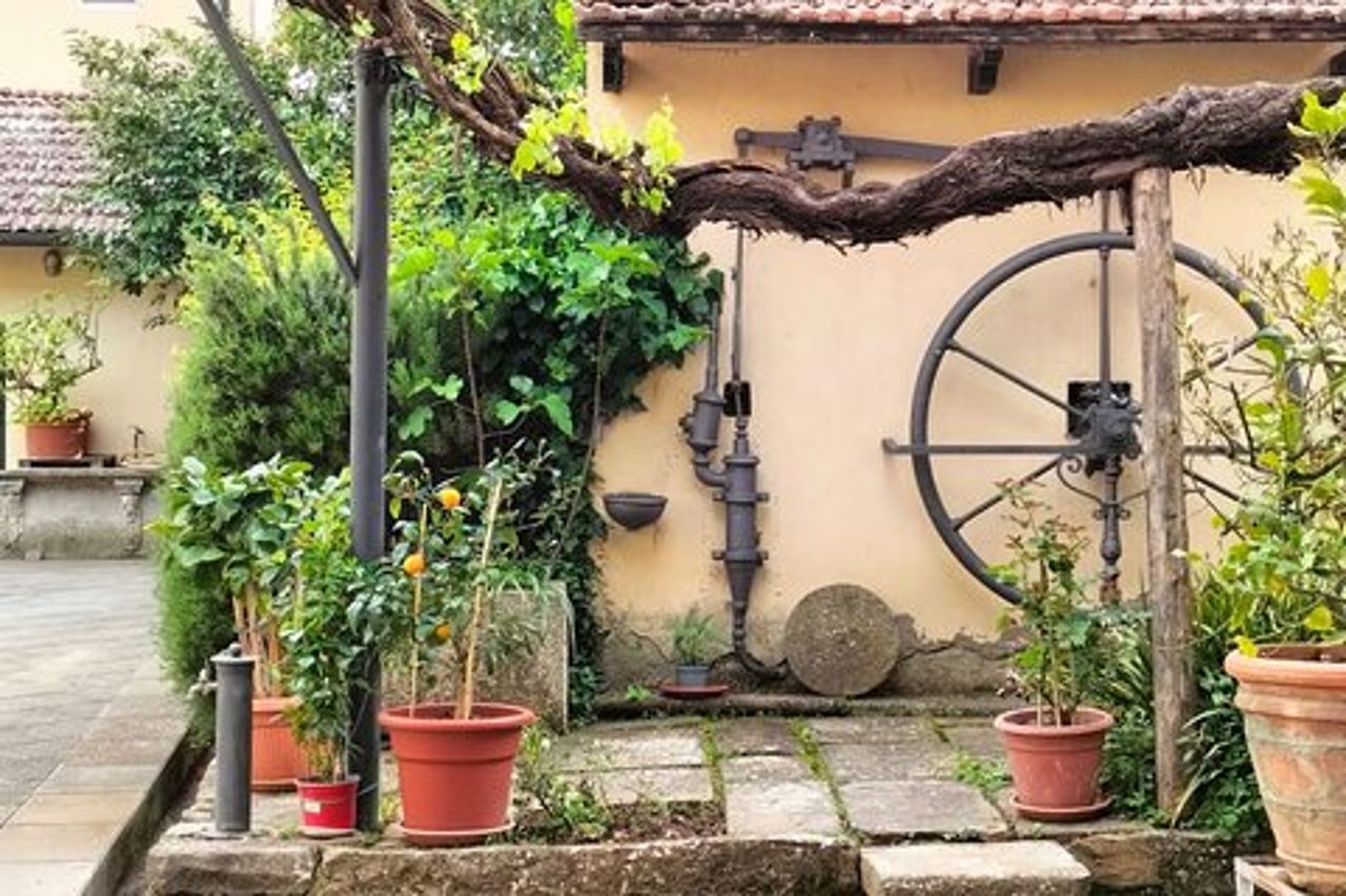 Degustazione Privata di vini biologici in cantina ad Arezzo