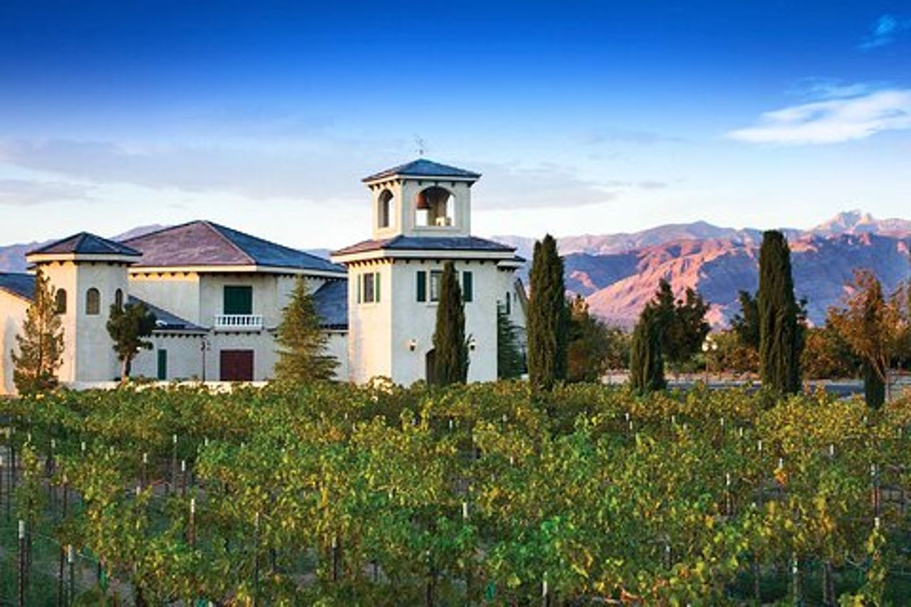 Tour panoramico di degustazione di vini da Las Vegas con cibo