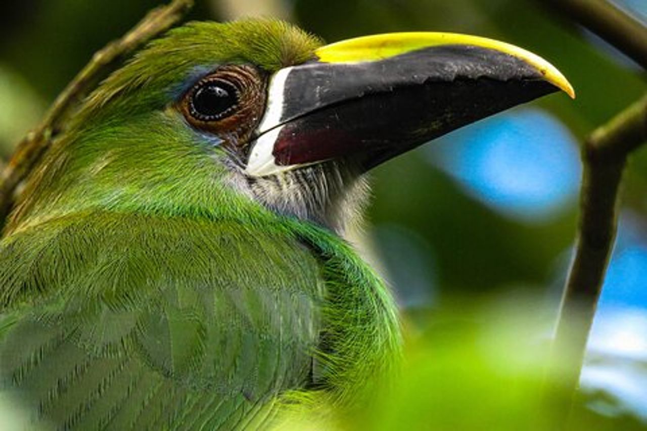 Itinerario per conoscere la natura, Salento