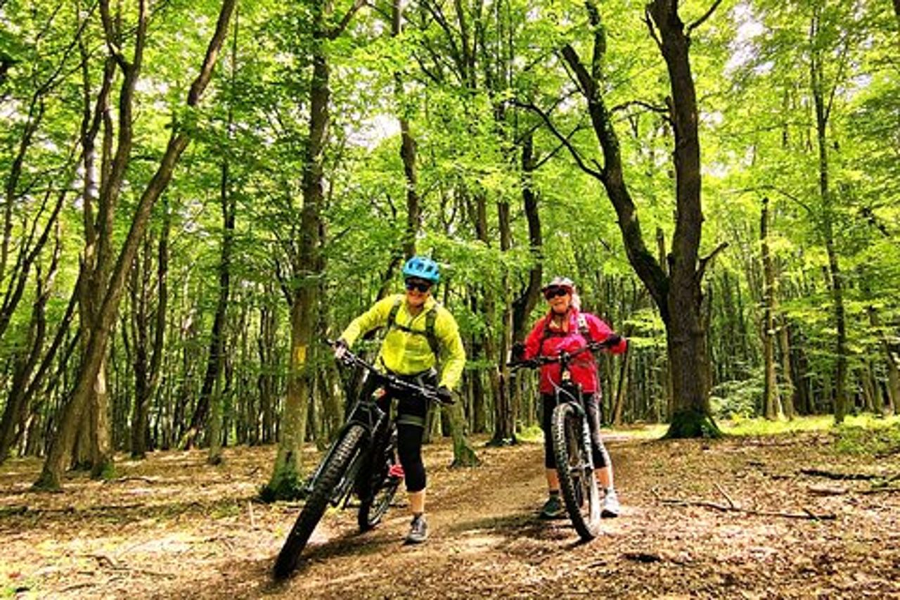 Sambata de Sus: Visite Guidate in E-Bike