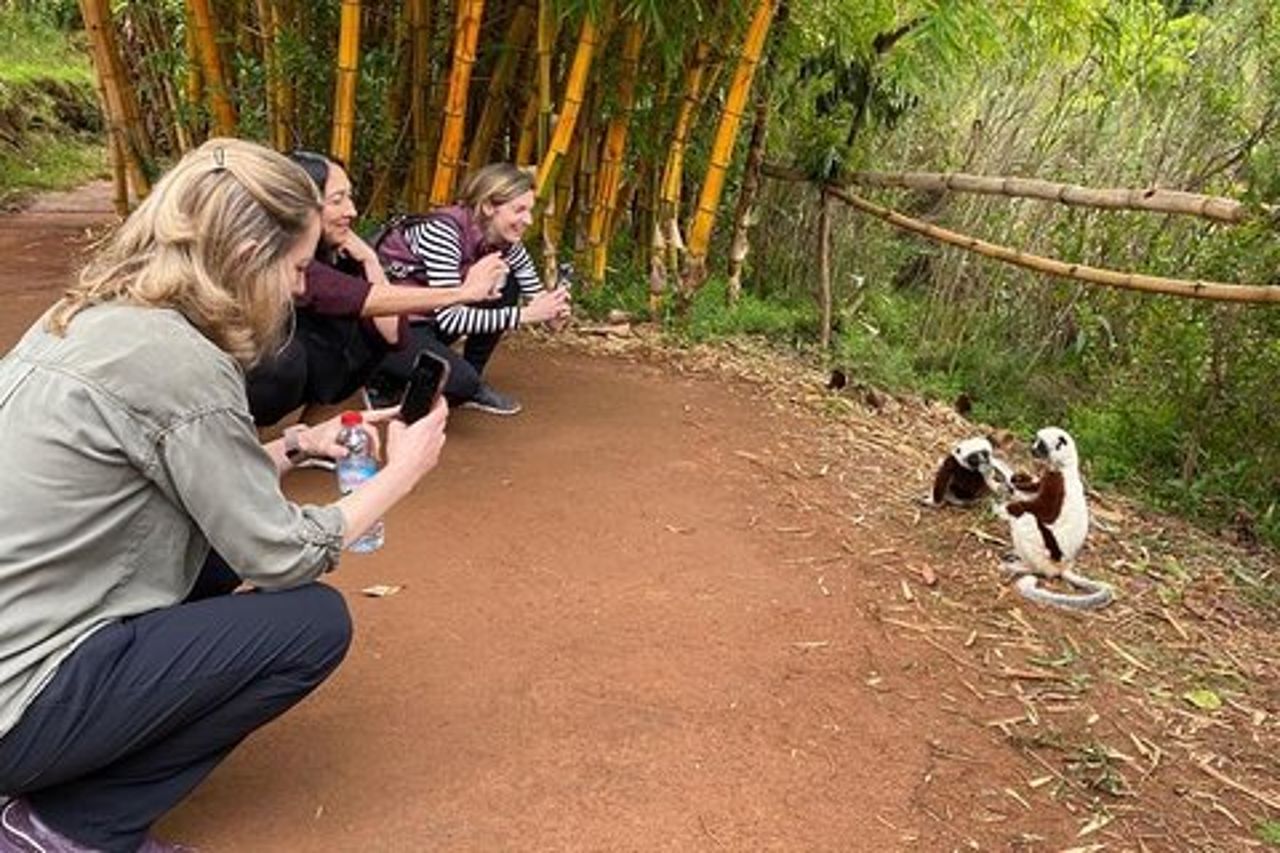 Antananarivo: Parco dei Lemuri e tour della città