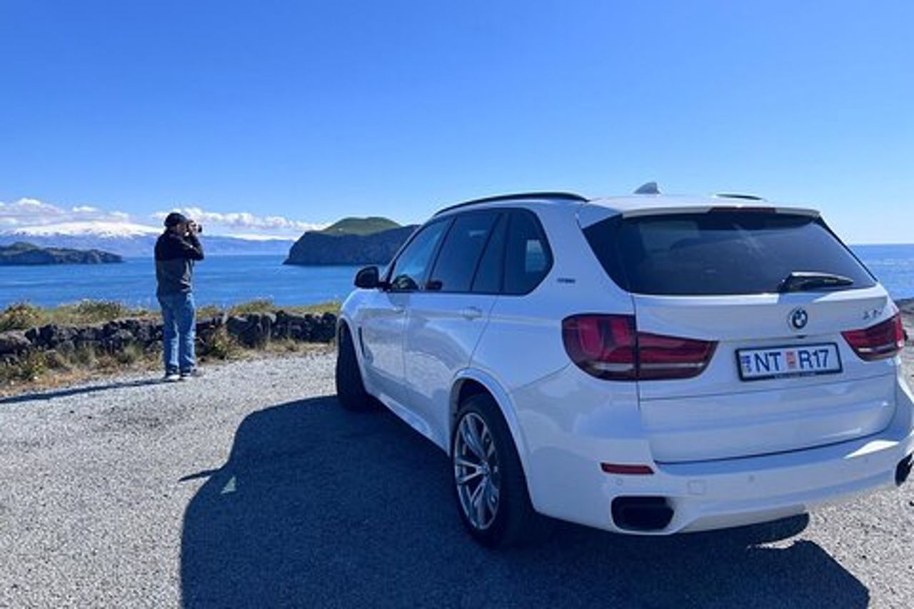 Tour privato di 2 ore - Isole Westman con un locale in una BMW X5
