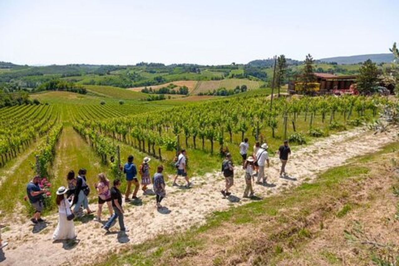 Escursione in Toscana da Firenze: Siena, San Gimignano, Pisa e pranzo in cantina