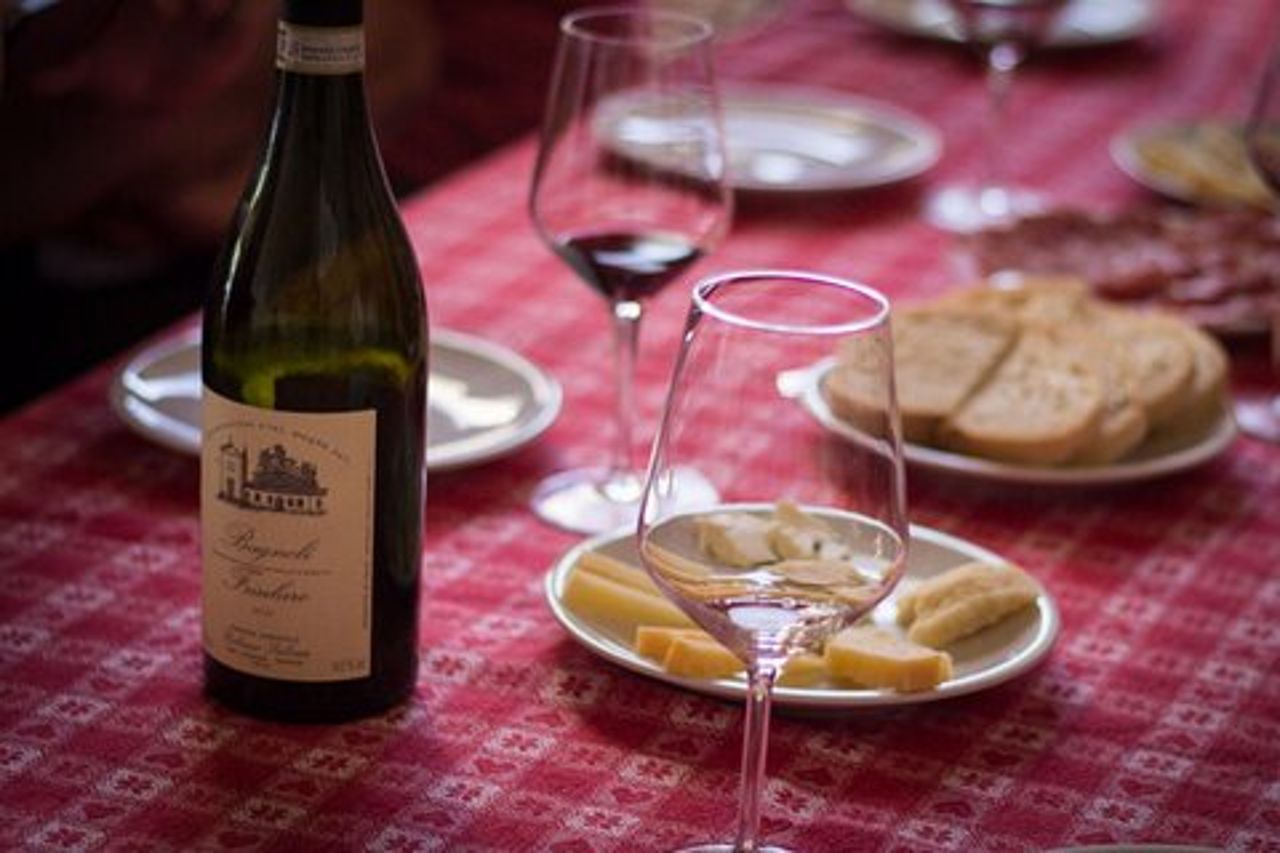Tour in cantina e degustazione sulle colline padovane