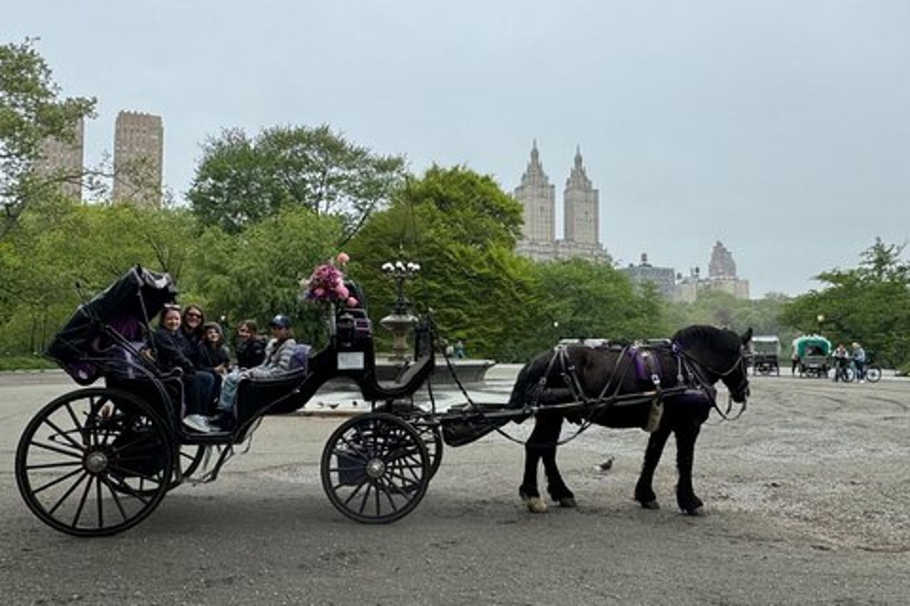 NYC Empire State Horses Giro in carrozza a Central Park (55 minuti)