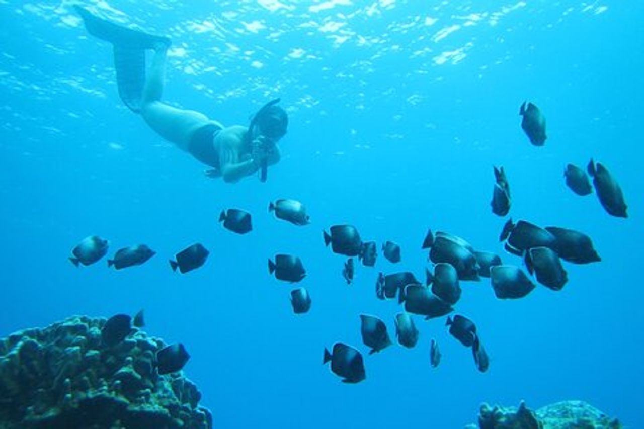 Isola di Pasqua Snorkeling sulle barriere coralline