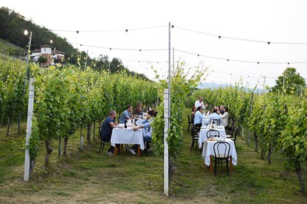 Passeggiata guidata e Pranzo in Vigna ad Alba