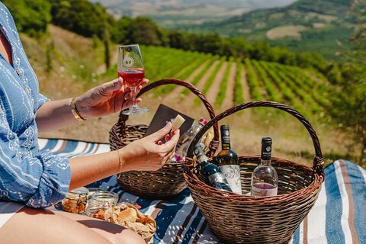 Visita guidata e picnic in vigna con una bottiglia di vino