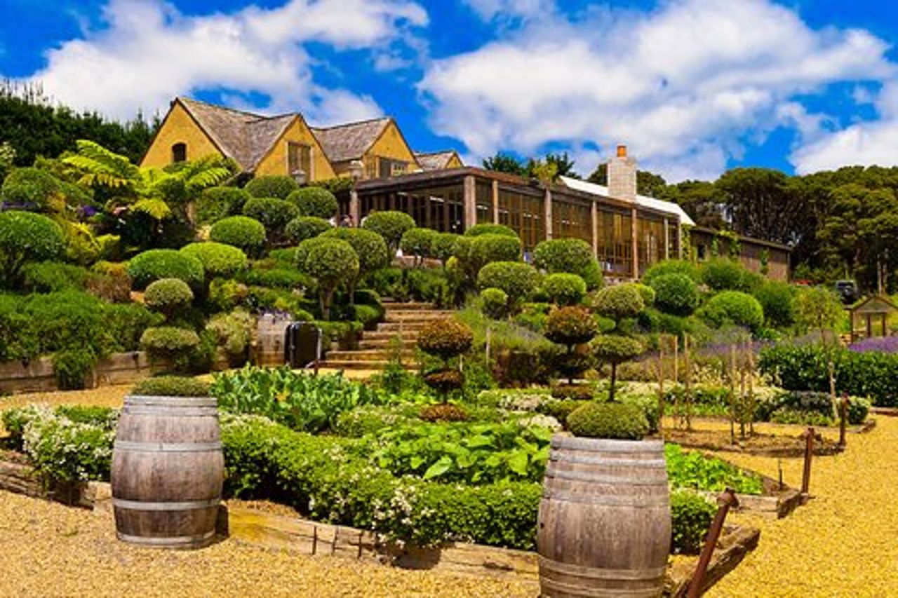 Waiheke island Wine Tours - degustazione di vini PREMIUM MAX 11 clienti !