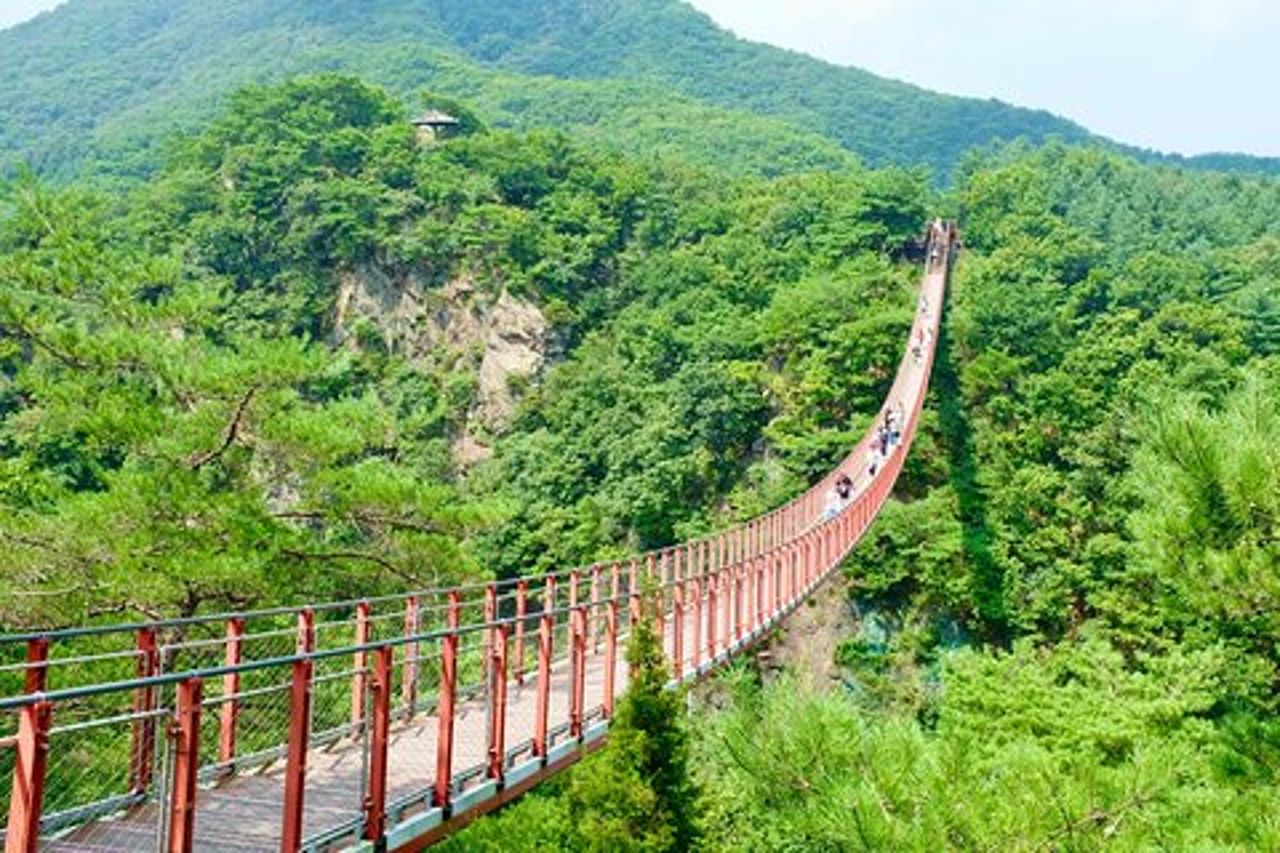 2025 Travellers' Choice Best of the Best: tour in DMZ da Seul