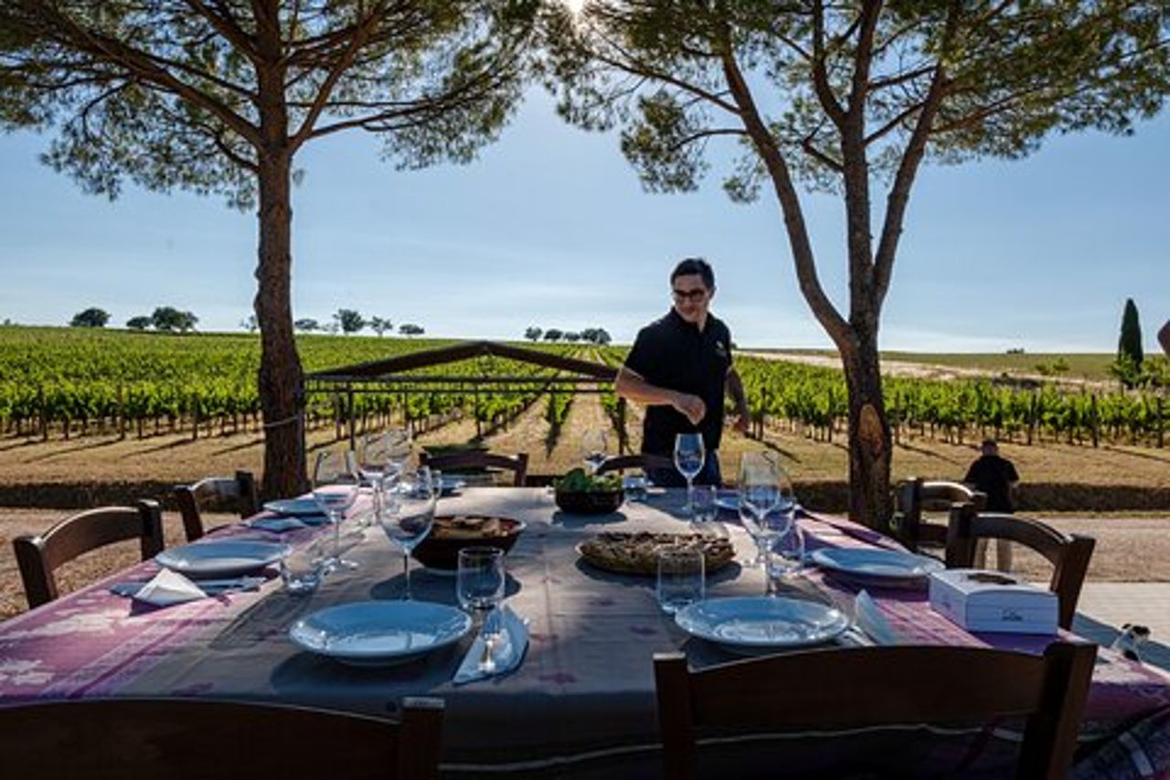 DRINK&FOOD: Tour privato dei vigneti e delle cantine con degustazione