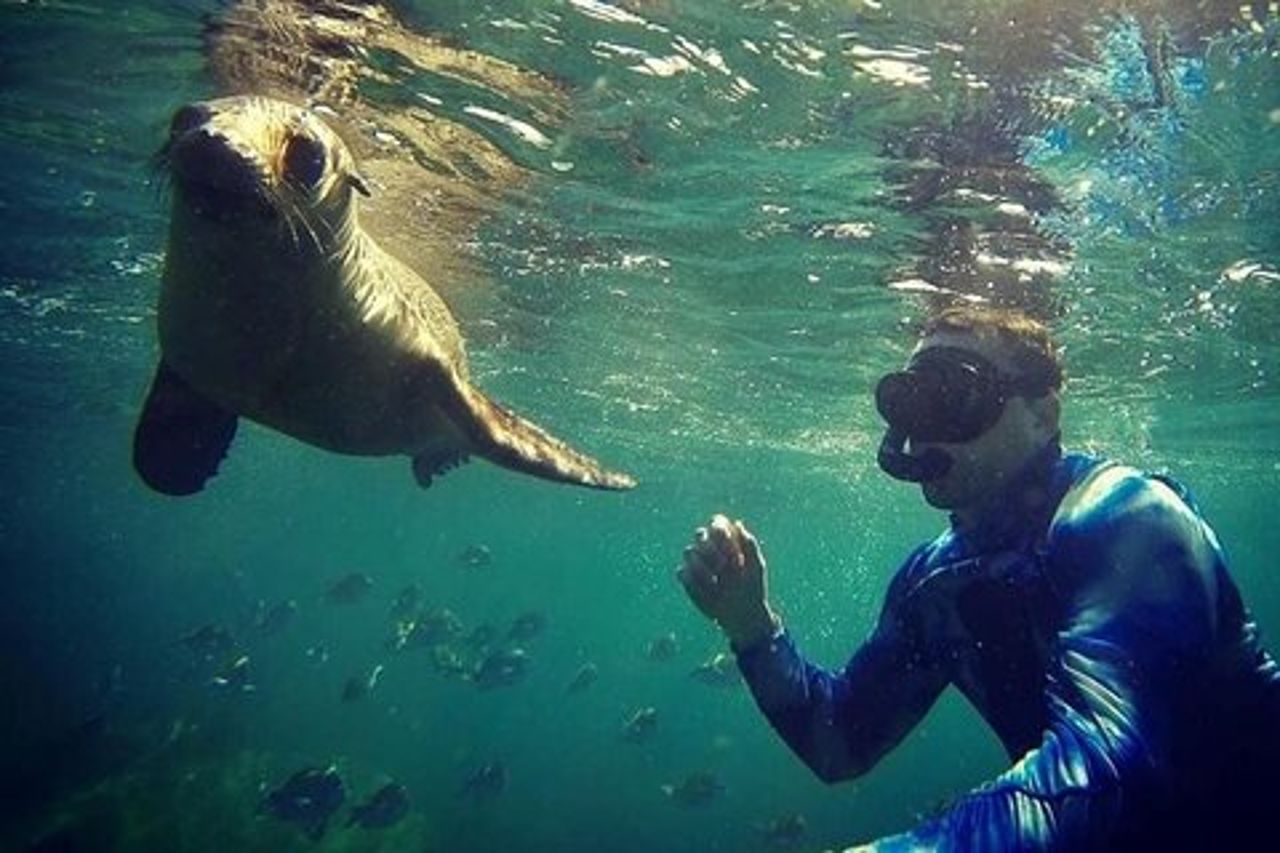 Snorkeling e giro delle spiagge sull'isola di Espiritu Santo