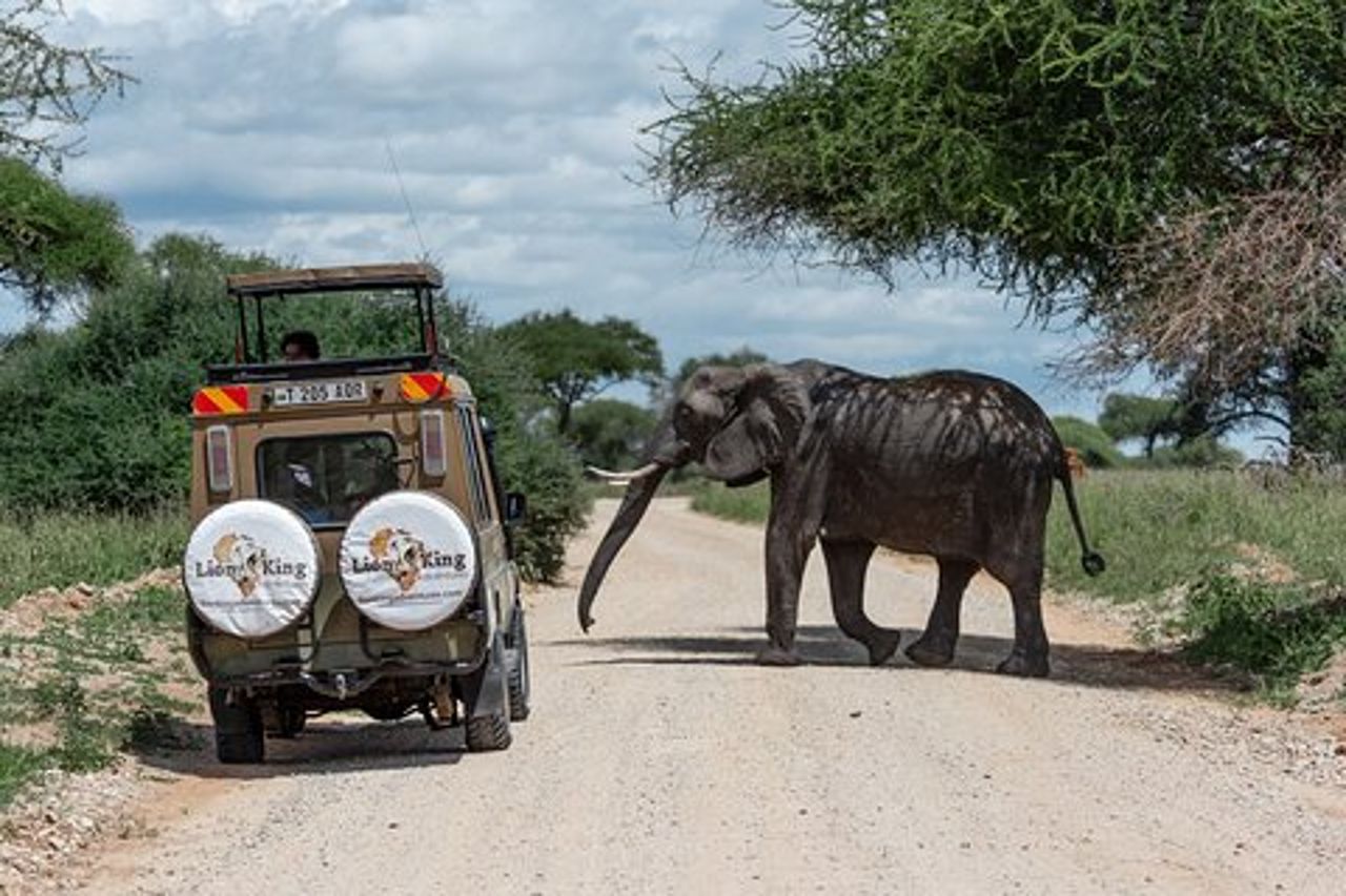 Cratere privato di 6 giorni del Tarangire Manyara e Serengeti con logge di medio raggio