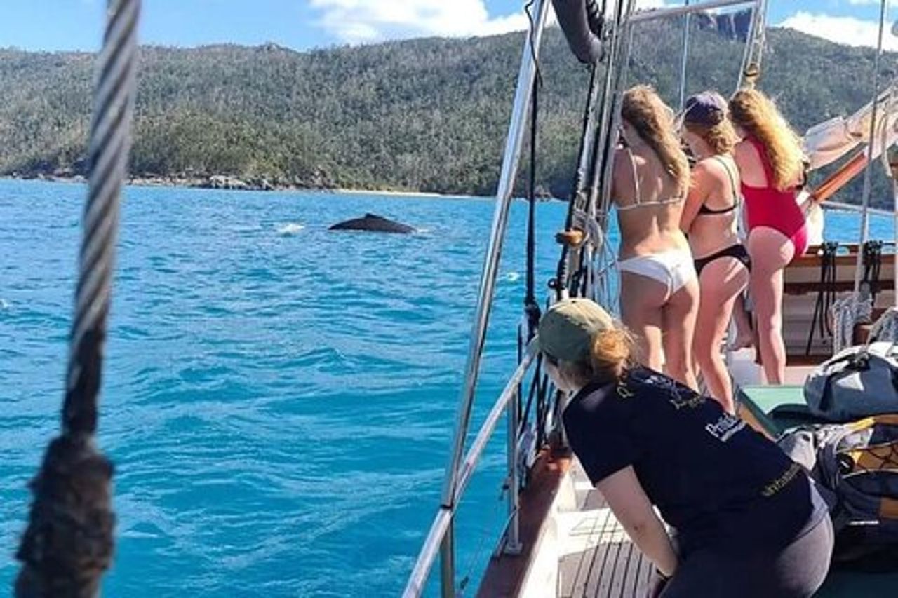 Crociera a vela e snorkeling sulla spiaggia di Providence Whitehaven