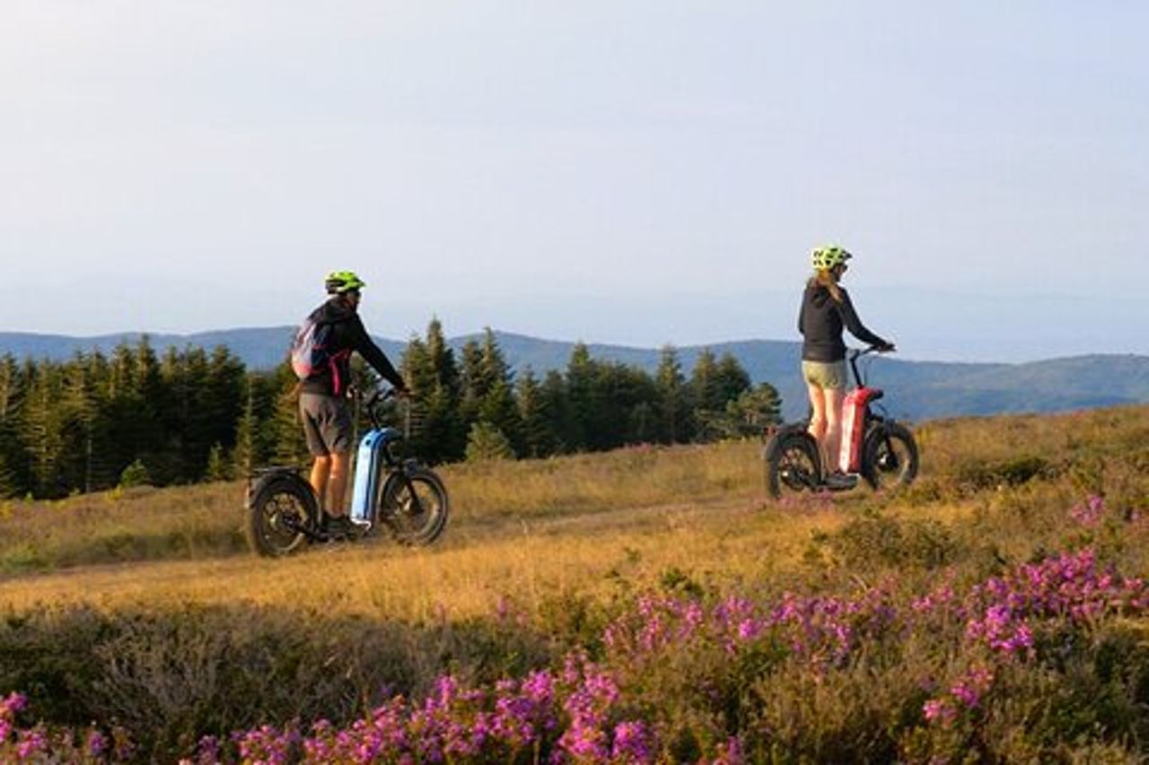 Esplora le foreste dell'Alta Linguadoca su uno scooter elettrico