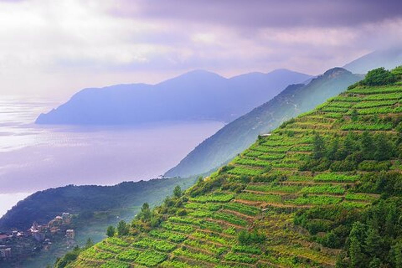 Il meglio delle Cinque Terre & Pisa Escursione privata da Livorno